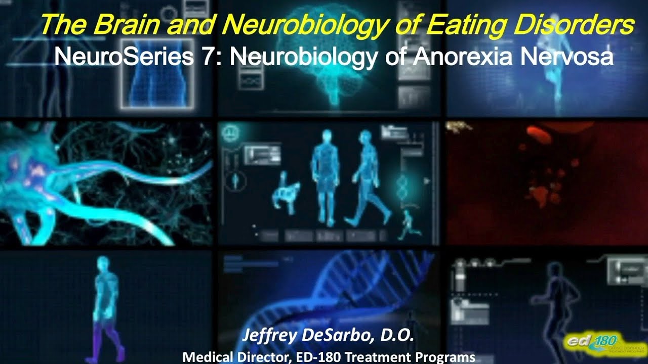 NeuroSeries 7: Neurobiology of Anorexia Nervosa