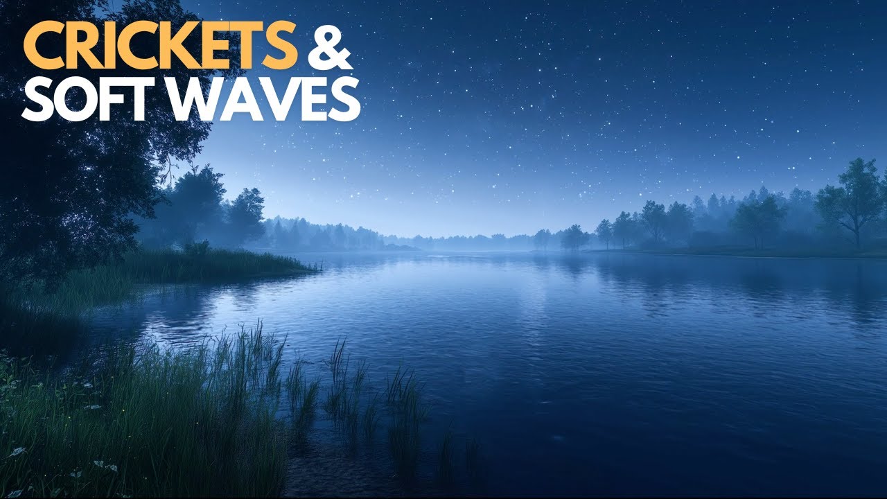 Relaxing Crickets & Soft Lake Waves Ambience