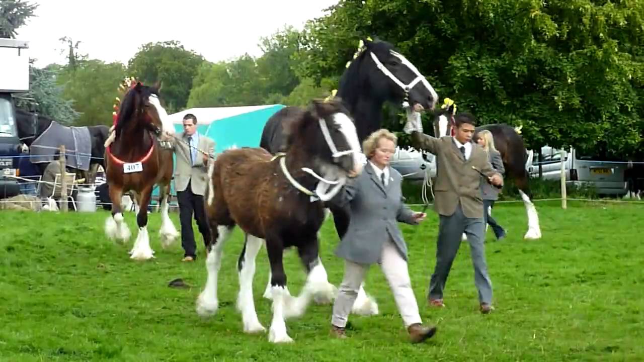 Views of Cheshire - Poynton Show 2009 HD 1/2