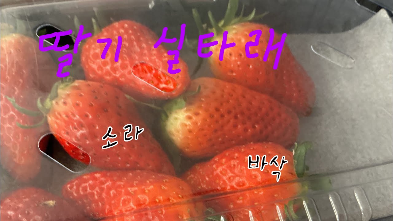 유행(?) 중인 딸기 실타래 마시멜로 만들기 #딸기 #마시멜로우 #유행 #딸기실타래마시멜로우