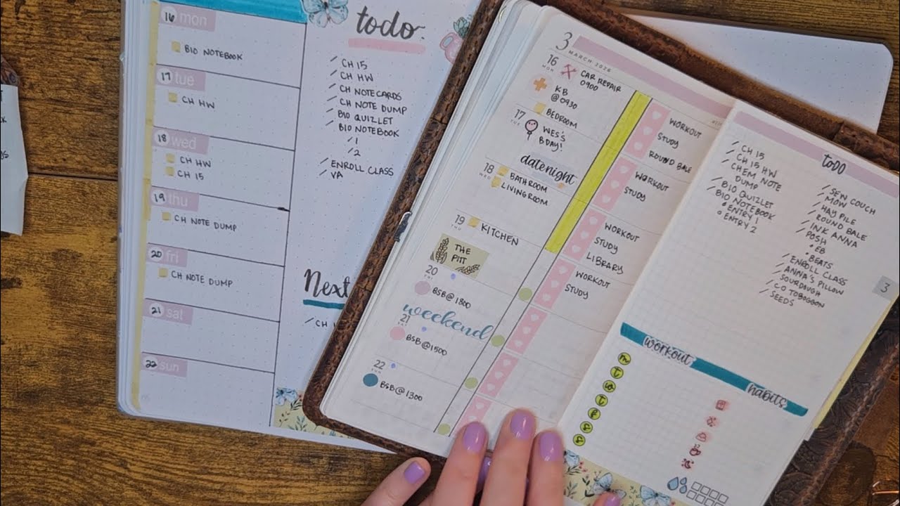 Sterling Ink N2 and BUJO