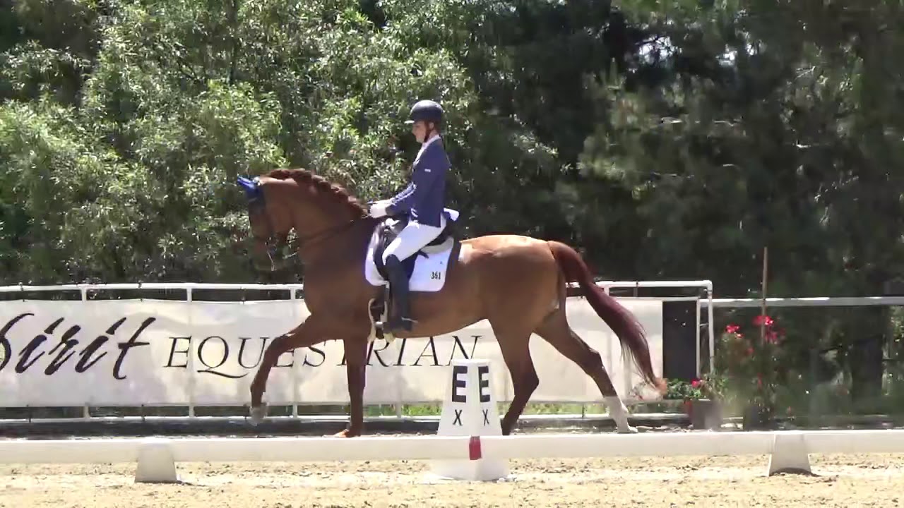 Harrold S ☆ 81% Third Level Freestyle