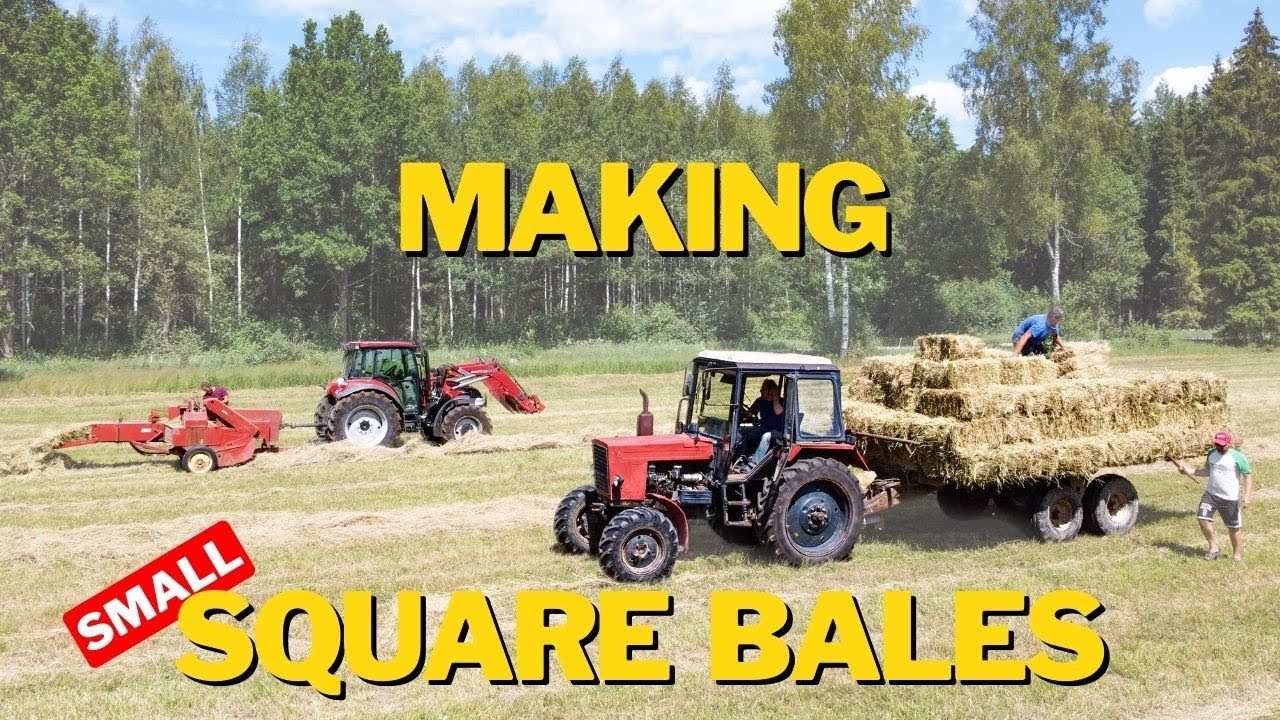 HARDEST JOB ON SMALL DAIRY FARM! MAKING SQUARE HAY BALES