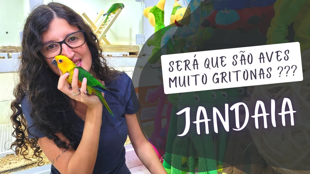 CONHEÇA A JANDAIA VERDADEIRA | ARATINGA - UDP