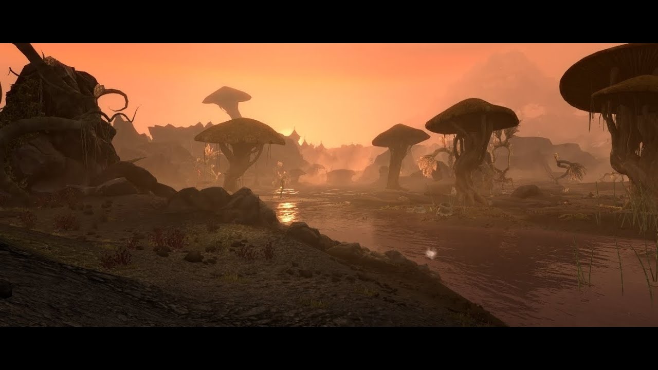 Morrowind. Играю впервые.
