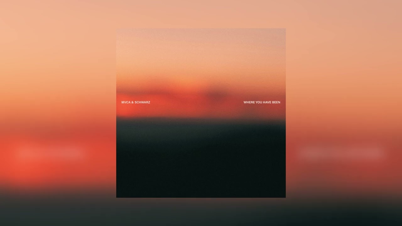 MVCA, SCHWARZ - Where you have been