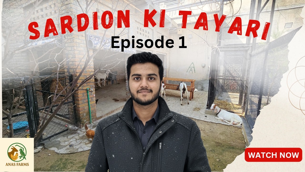 Sardion Ki Tayari | Parrot Nest Box Laga diya | Winter Preparation | Anas Farms