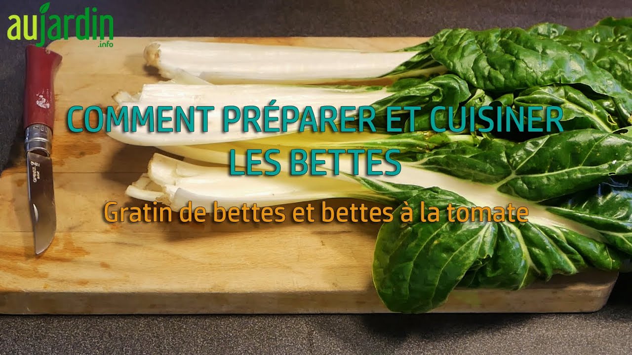 COMMENT PRÉPARER et CUISINER les BETTES ? 😋 RECETTE du GRATIN de CÔTES de BETTES