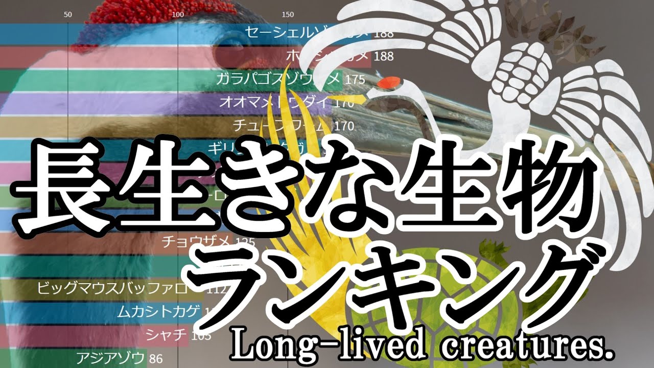 長生きな生物ランキング