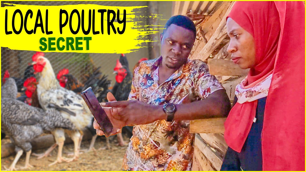 How He Makes $500 a Week with Just 200 Chickens - Profitable Local Chicken Business