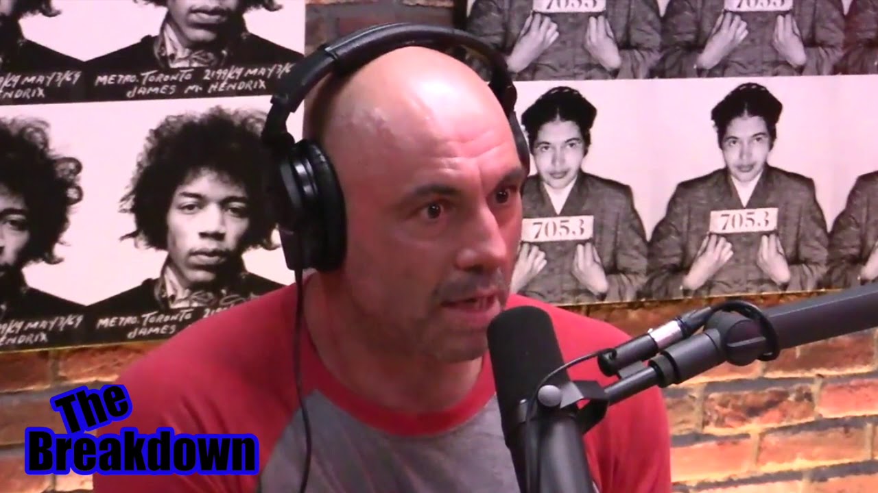 Owen Benjamin and Joe Rogan on Animal Intelligence, Nikola Tesla and his pigeon love