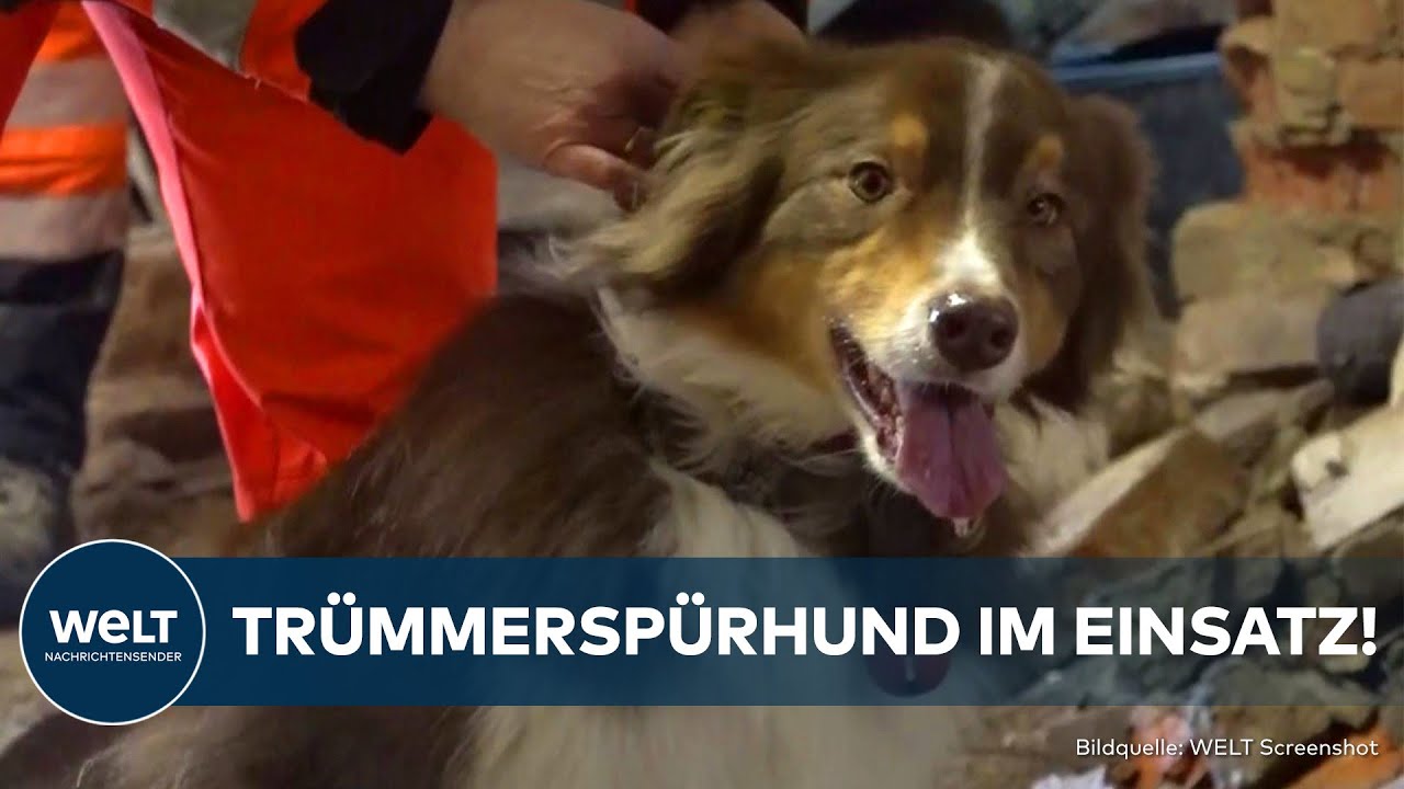 KRÖV: Rettung in letzter Sekunde! Dieser Spürhund hilft Menschen aus den Trümmern zu bergen