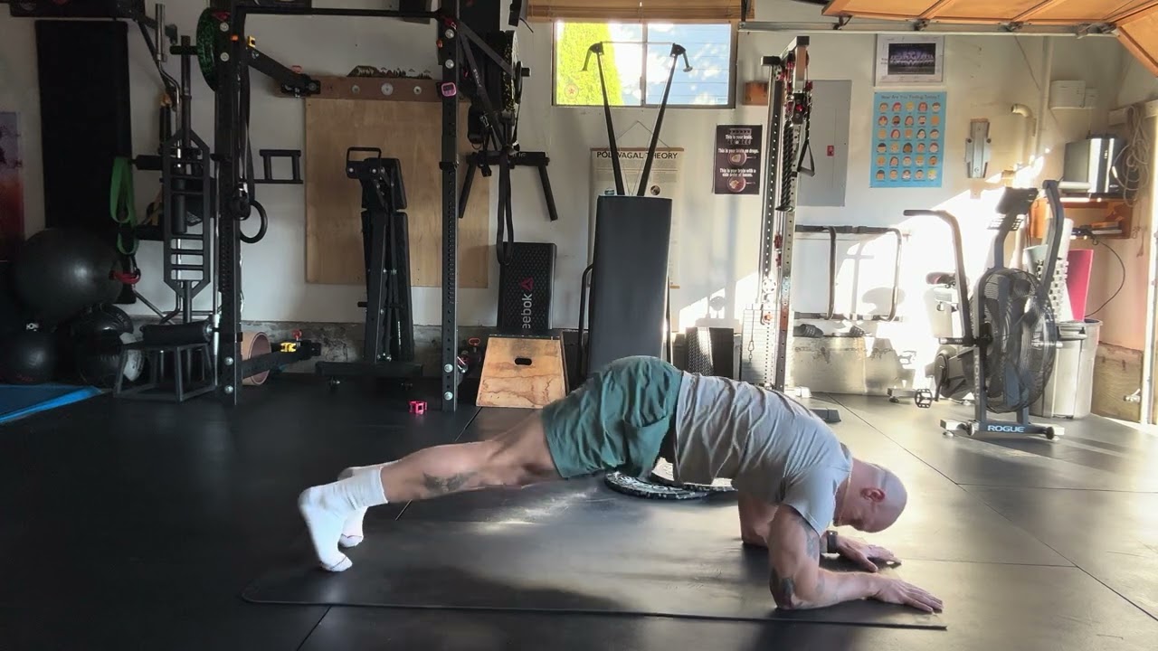 Plank Hip Rotations