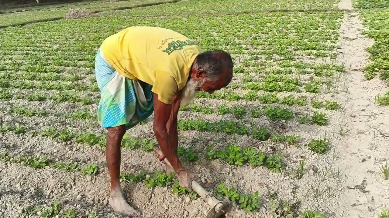 আমি নানার সাথে প্রাঙ্ক করলাম 