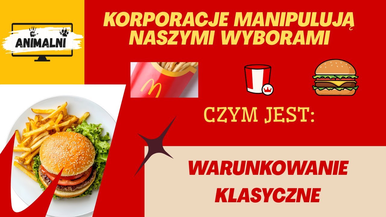 Бихевиоризм правит миром. Что такое классическое обусловливание?