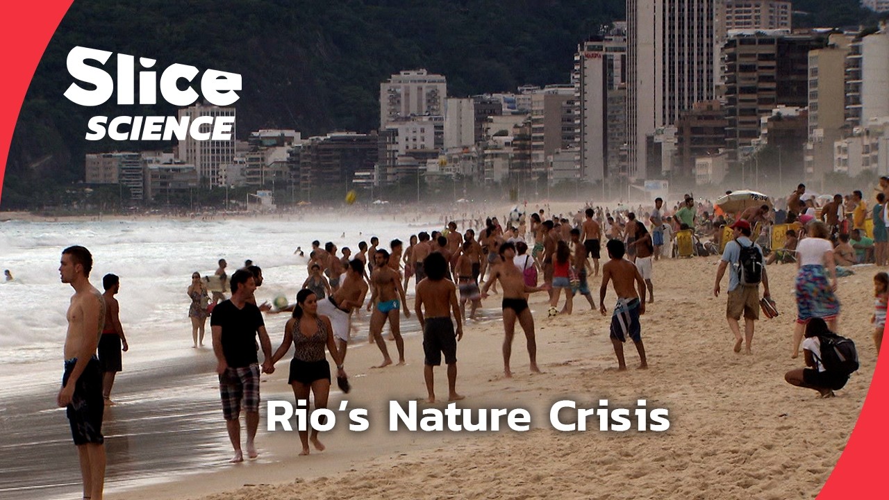 Rio&rsquo;s Ecological Transformation: Can Nature Be Saved? | SLICE SCIENCE | FULL DOC