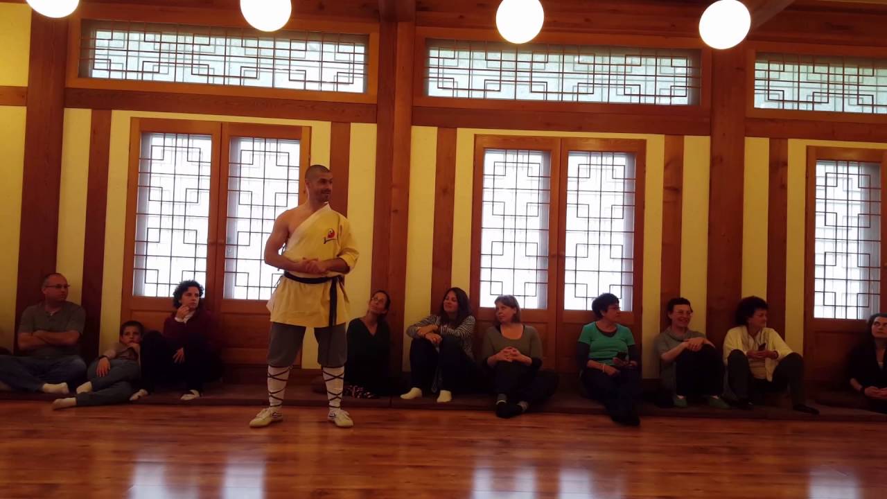 Shaolin Kung-fu bemutató /Ambruzs Szabolcs/