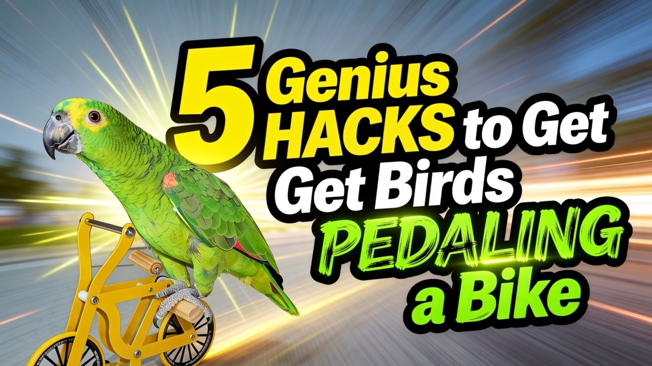 5 Genius HACKS to Get Birds PEDALING a Bike