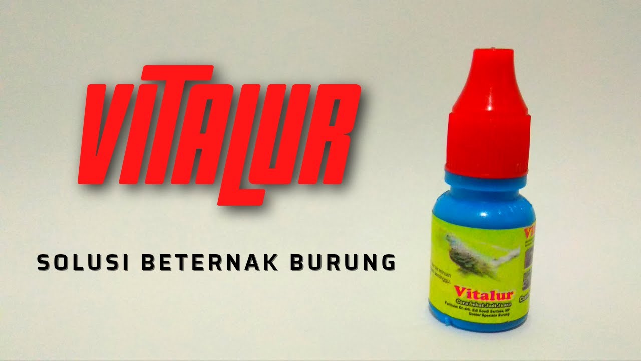 UNBOXING & REVIEW !!! VITALUR Solusi Beternak Burung Ocehan dan Anggungan
