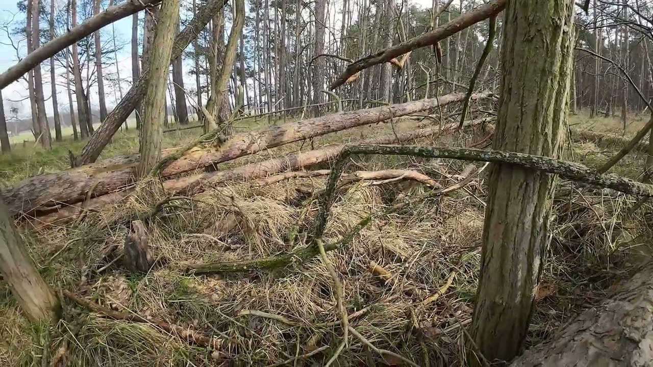 3 03 2024 Siethener See