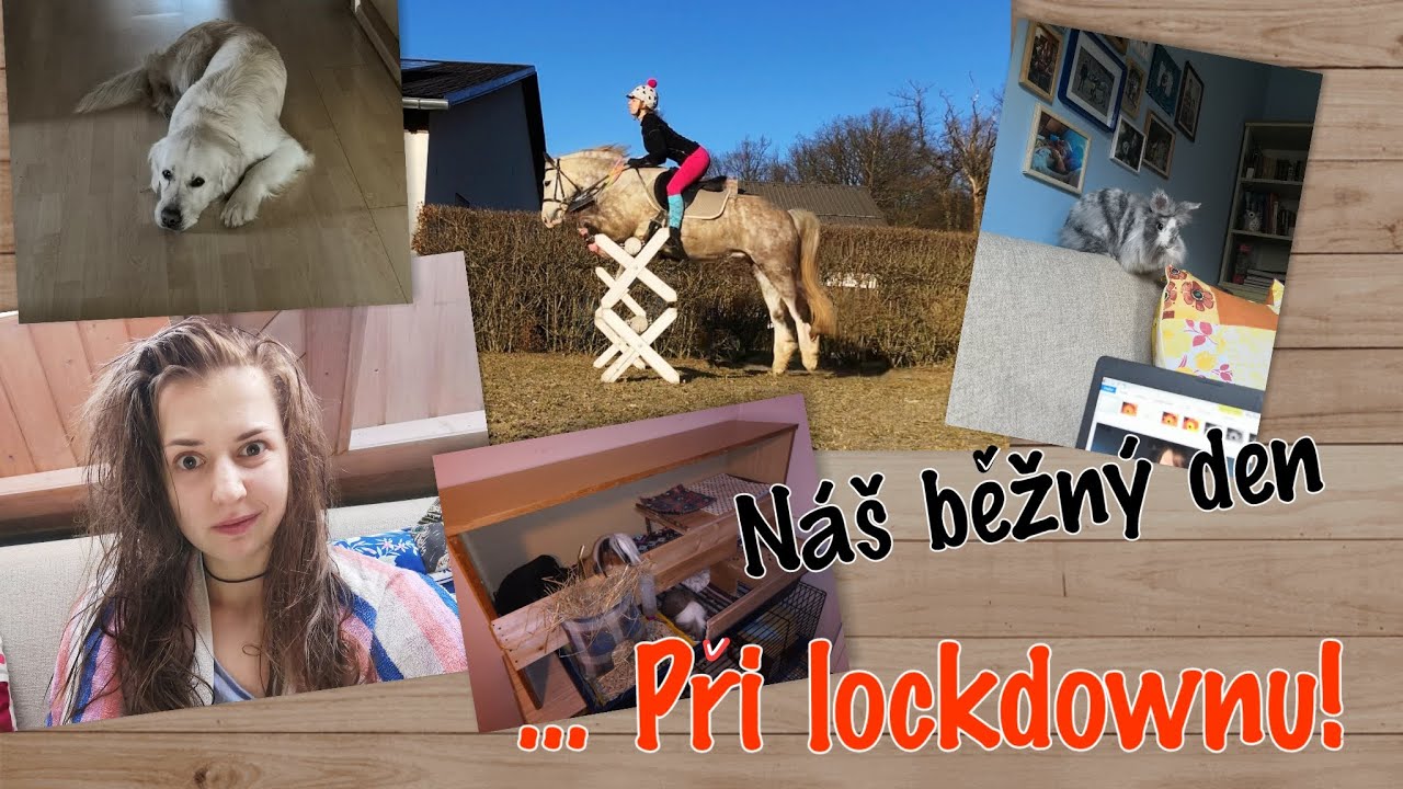 DENNÍ VLOG | Skokový trénink | Náš zvěřinec