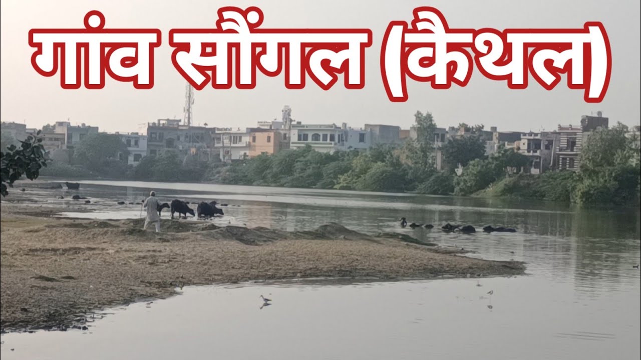 Episode 30 Village History Songal गांव सौंगल की जानकारी
