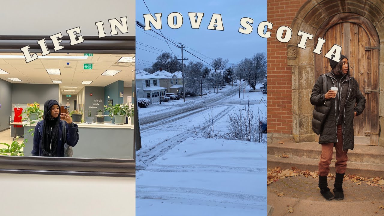 Зимний блог+ Я наконец закончил свой первый семестр в колледже.