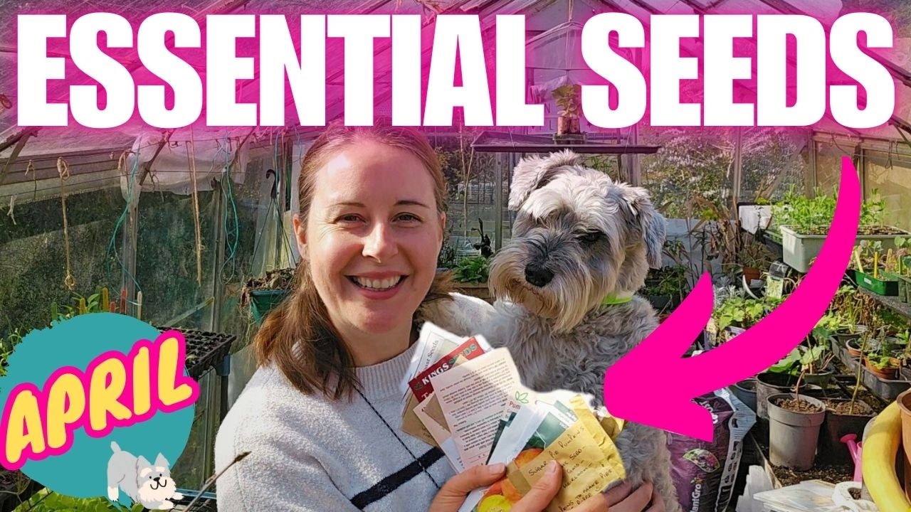 8 MUST SOW Seeds for APRIL | UK Vegetable Garden & Allotment