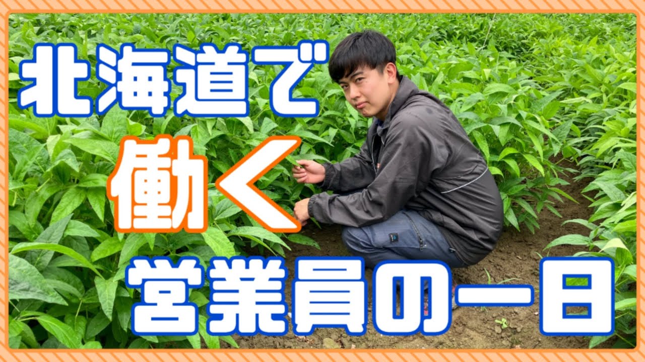 北海道の肥料会社で働く、営業員の一日に密着！【住商アグリビジネス/就活/十勝】