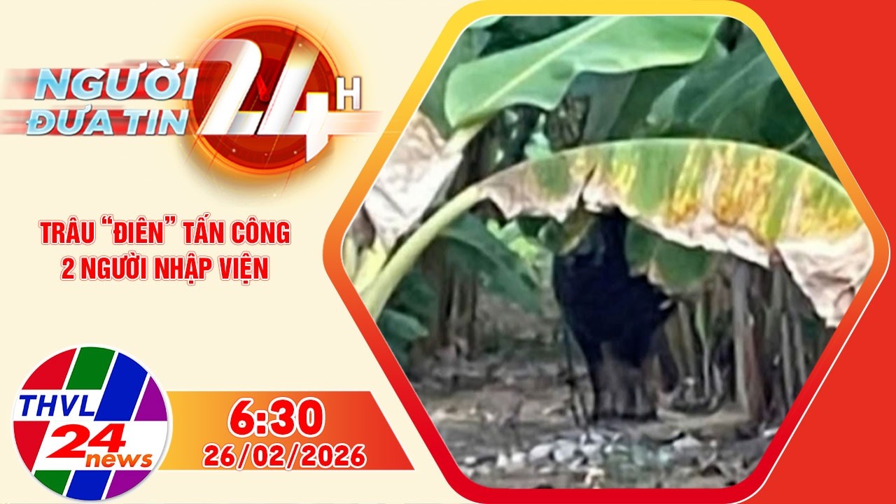 Người đưa tin 24H (6h30 ngày 26/02/2026) - Trâu “điên” tấn công 2 người nhập viện
