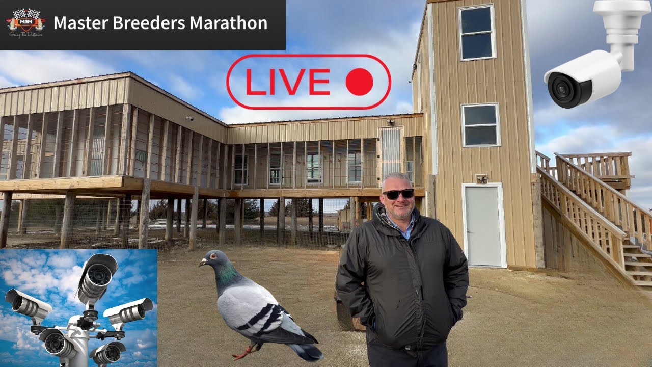 Master Breeders Marathon One Loft Race￼ Tour￼￼