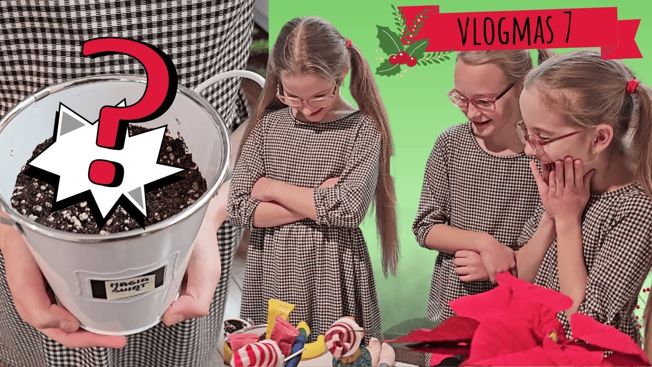 Sadzimy magiczne nasiona | VLOGMAS 7