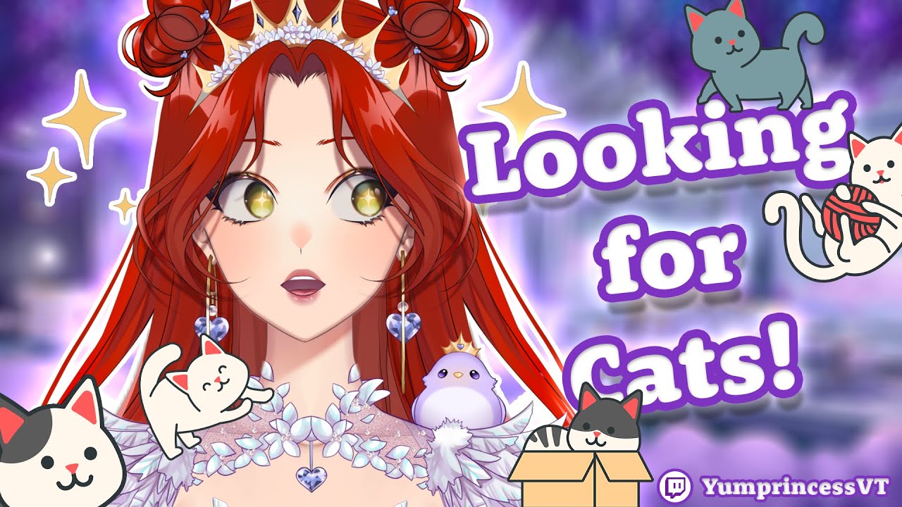 Chatting and Finding Cats! [Twitch Stream]