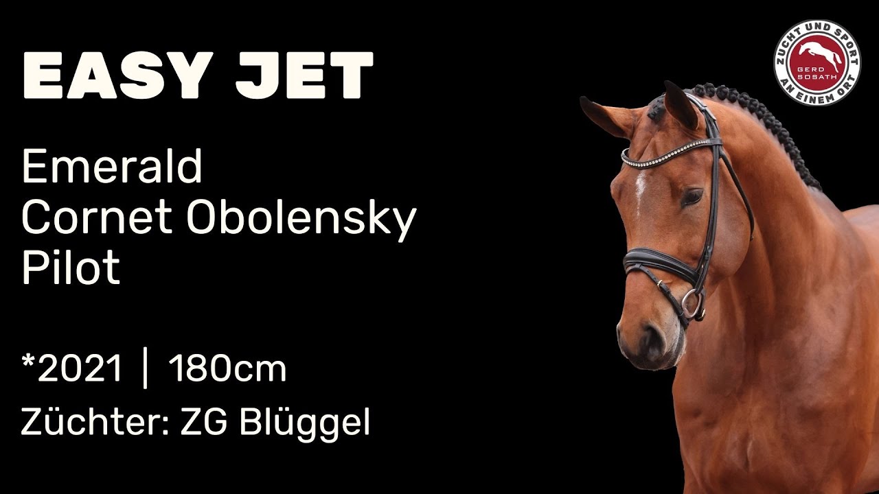 Easy Jet *2021 von Emerald van het Ruytershof x Cornet Obolensky | Hengstschau Sosath 2024