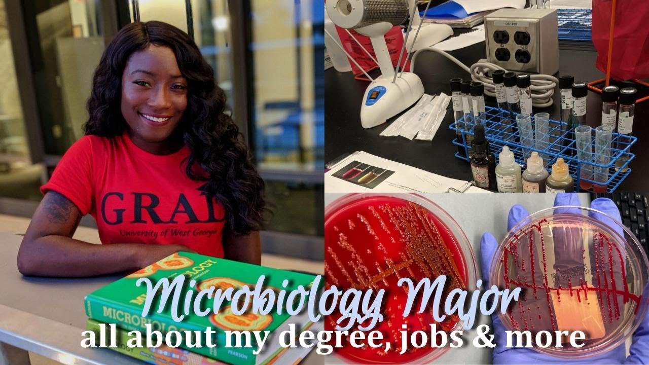 What to expect as a Microbiology Major (Classes, Careers & Reality)