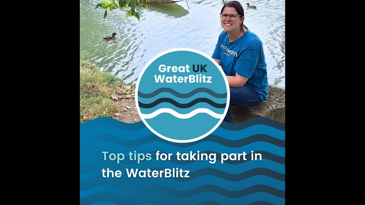 Top Tips for taking part in the Great UK WaterBlitz