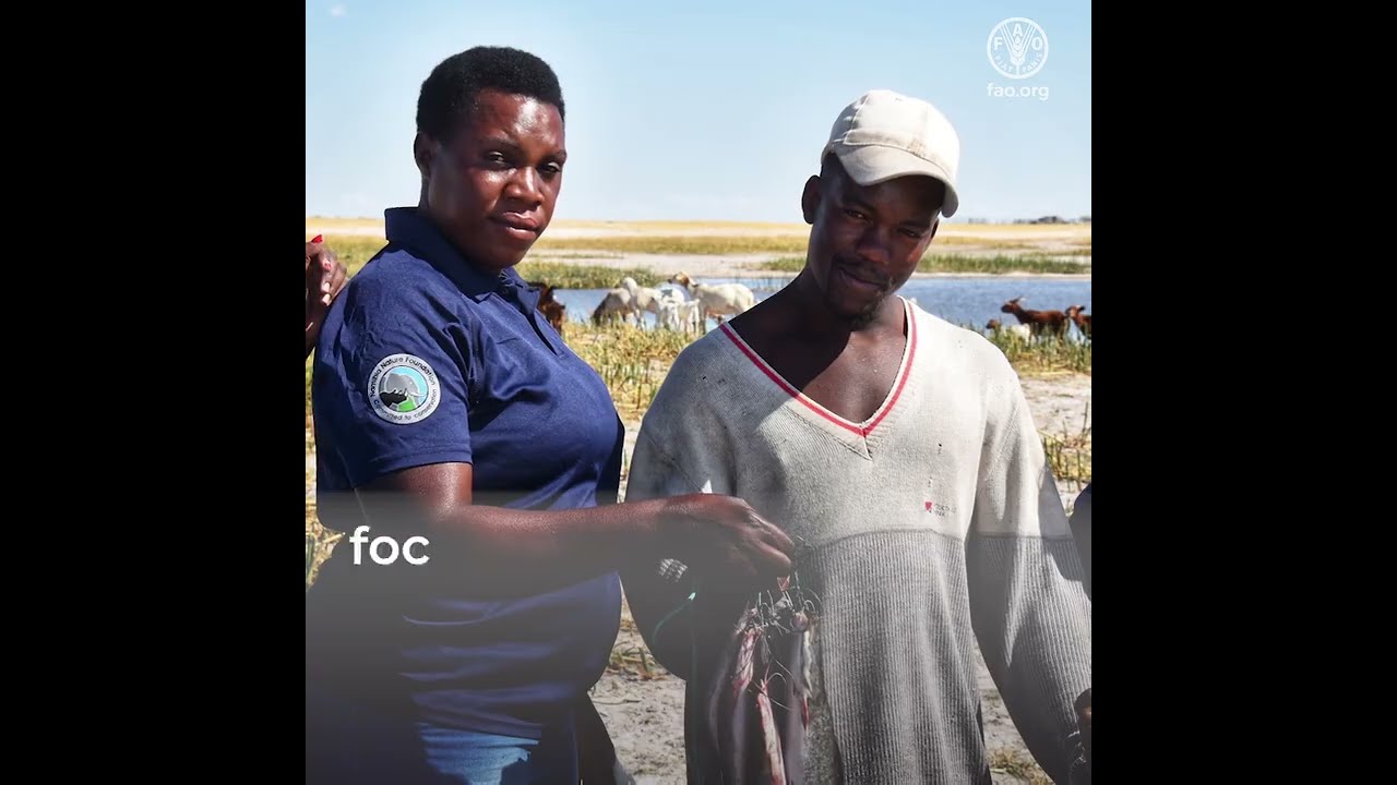 Uplifting Namibia’s Small-Scale Fisheries sub-sector