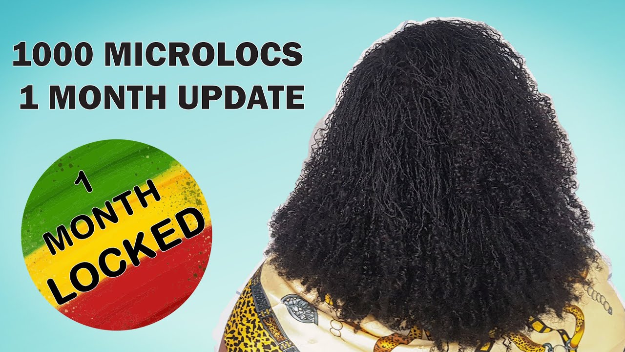 DIY STARTER MICROLOCS / 1 month update  (Two strand twist locs).