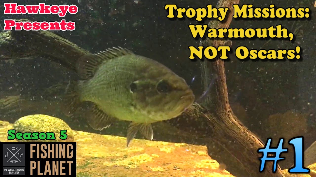Fishing Planet #1 - S5 | Trophy Missions: Warmouth, NOT Oscars!