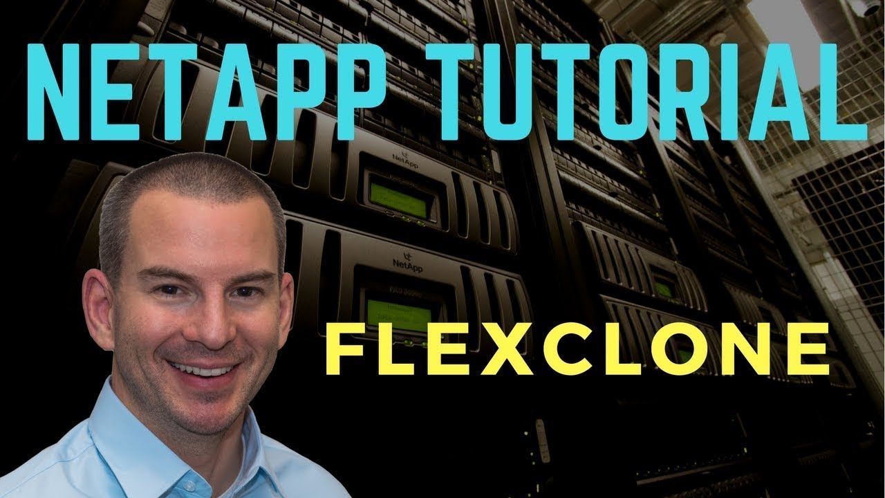 Учебное пособие по NetApp FlexClone (новая версия)