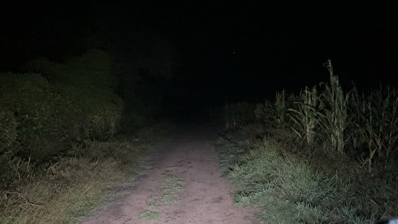 Nueva Locación 😱😱😱El Camino de lo Pinos