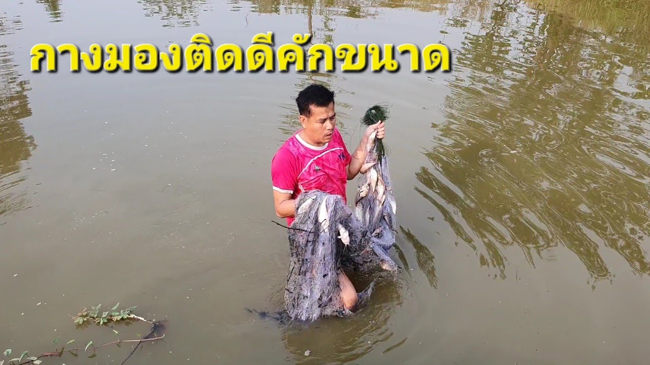 ยามมอง 5เซน ติดดีคักขนาดจนได้อุ้มขึ้นมีทุกปลา