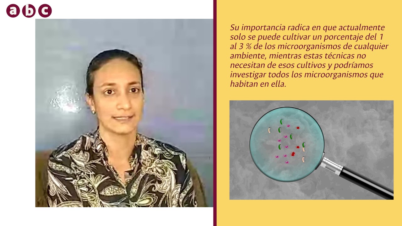 Metagenómica: ¿qué es y para qué sirve? | #UNPeriódico