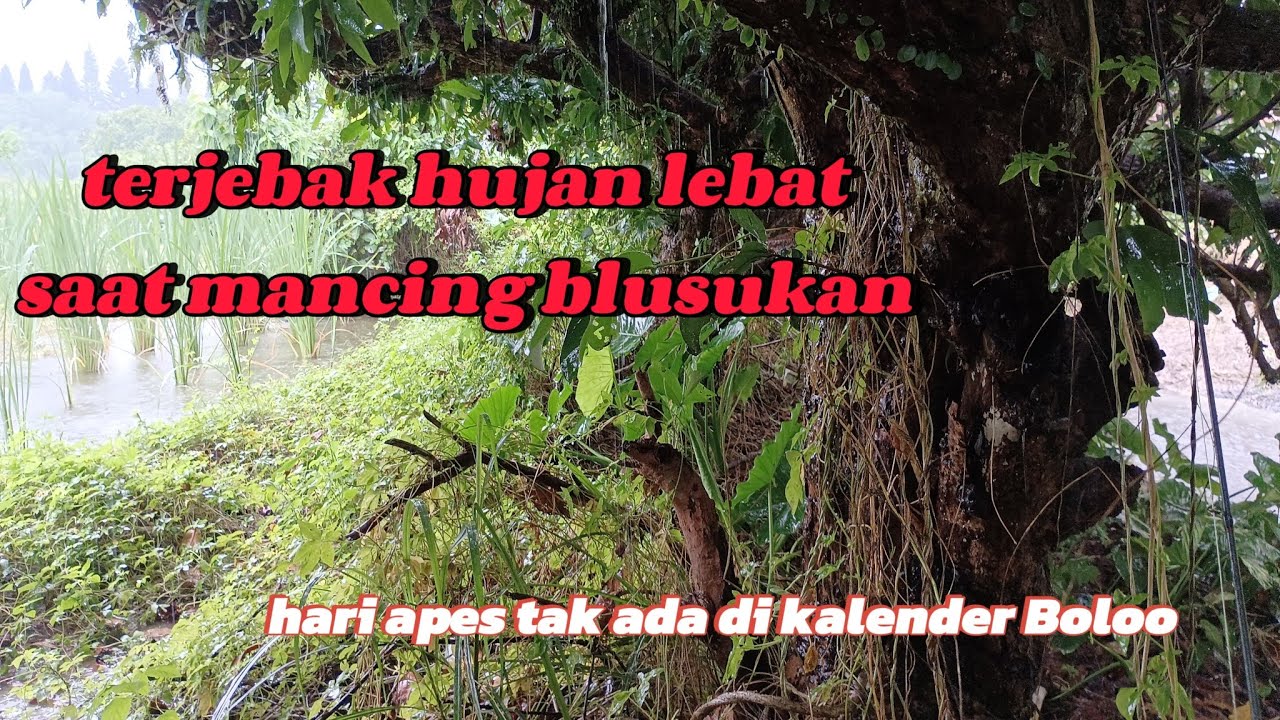 NEKAD MANCING DI KALA BANJIR
