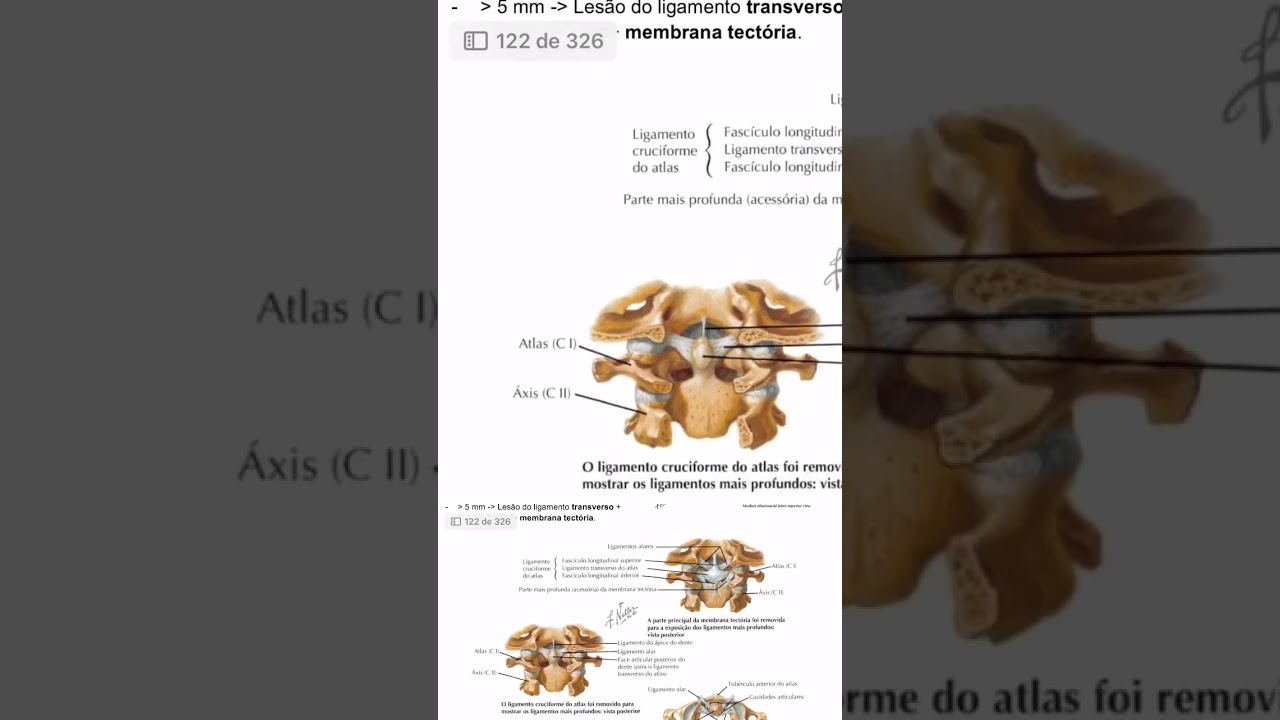 Resumo de coluna 