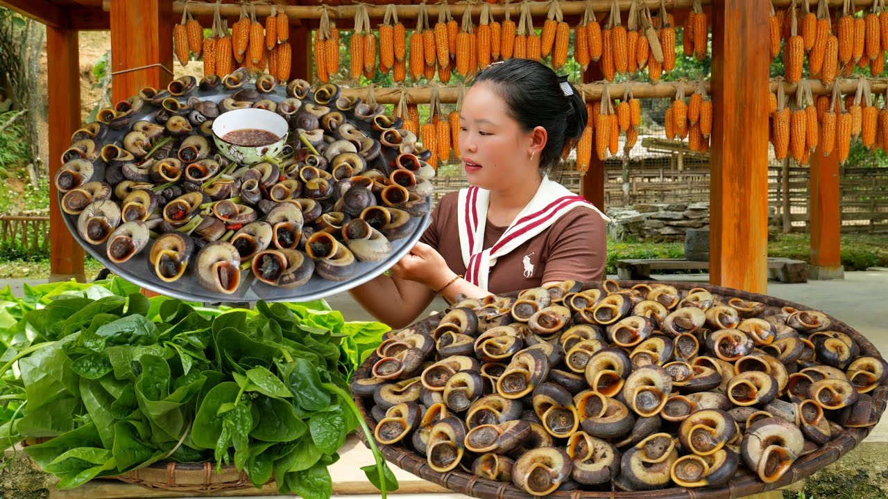 Harvest Snails to Sell at the Market - How to Make Steamed Snails with Lemongrass, Daily Life.