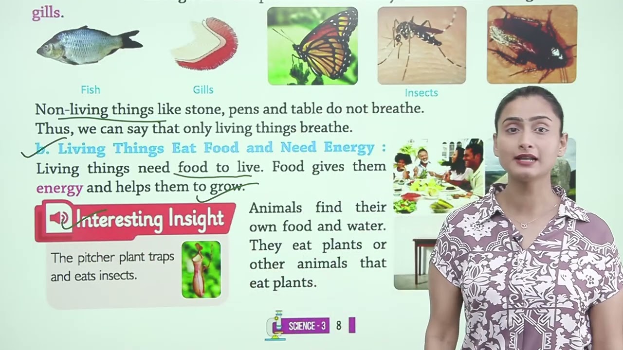 Ch 1 | Living And Non-Living Things | Catch Up With Science | Class 03 | Growing Mind | For children