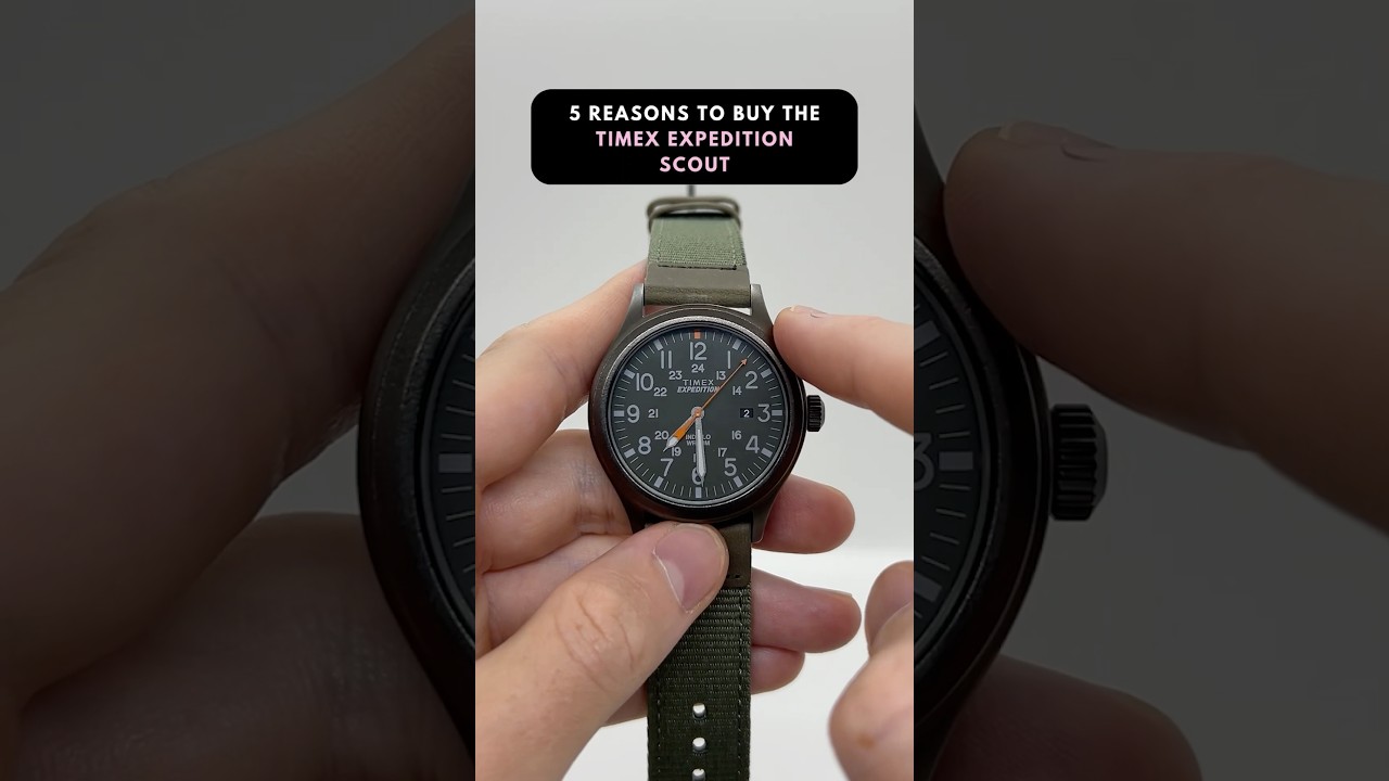 5 Reasons you Should buy the Timex Expedition Scout #timex #timexwatches #military