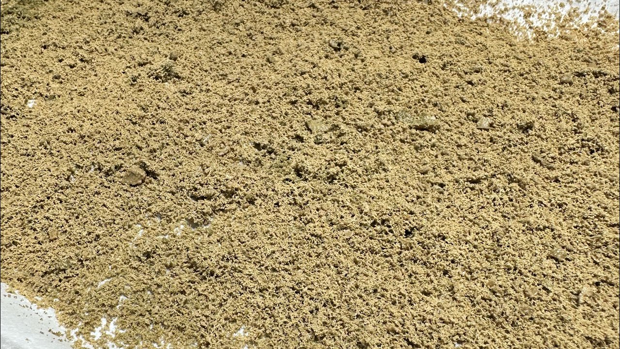 Bubble Hash Microplaning Right Out My Freezer Spread Out To Air Dry Before Pressing Into Hash Rosin