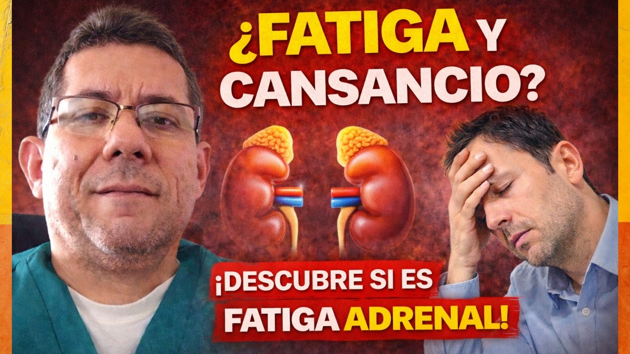 🚨El Sindorme Del Cansancio Moderno | Fatiga Adrenal Explicada🤦‍♀️